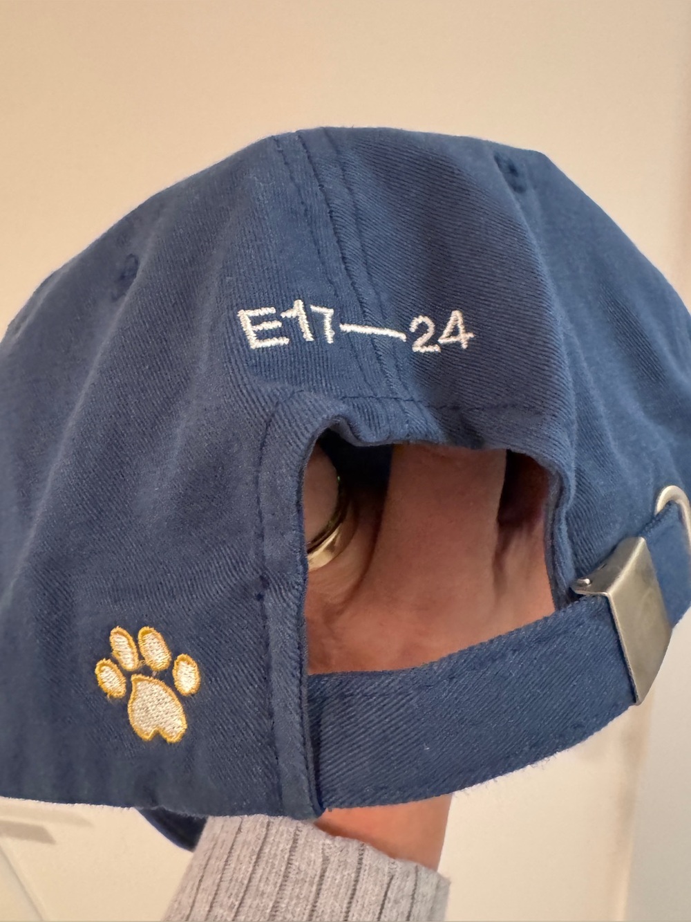 Navy and Gold Logo Emis Baseball Cap by - Picture 2 of 2